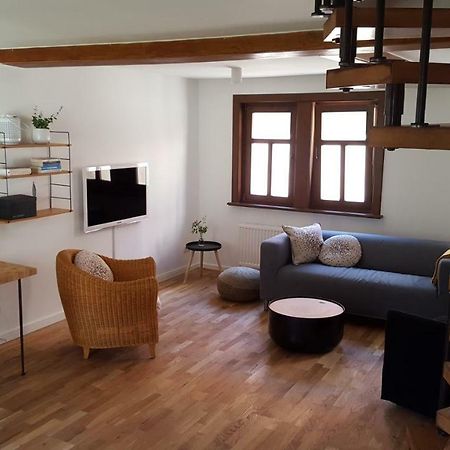 Haus Zum Wilden Manne Βίλα Ερφούρτη Εξωτερικό φωτογραφία
