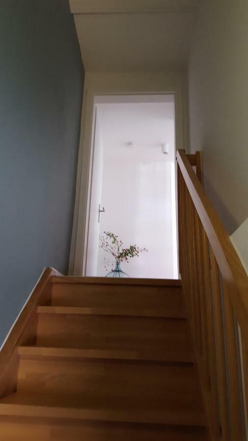 Haus Zum Wilden Manne Βίλα Ερφούρτη Εξωτερικό φωτογραφία